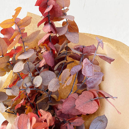 Tinted Eucalyptus Dried Bouquet
